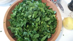 16656606036_f713401dc9_z